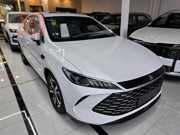 بي واي دي Qin Plus 2025 للبيع في العراق -  بغداد